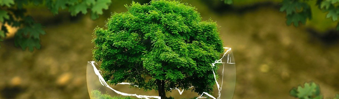 Le monde ne progresse (presque) plus vers le développement durable