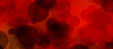 Greffe d’organes : détecter le risque de rejet à partir d’une simple prise de sang