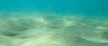 L’exploitation minière en eaux profondes contestée