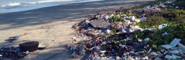 Lumière sur la biodégradabilité du plastique en mer