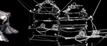 Ce robot peut suivre l’évolution d’un insecte en vol