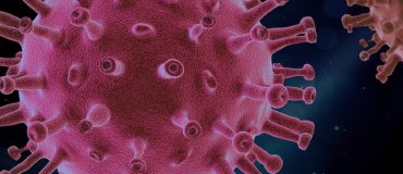 La cryomicroscopie repousse les frontières de la biologie