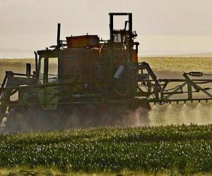 De fortes doses de pesticides augmentent de 50% le risque de développer une leucémie