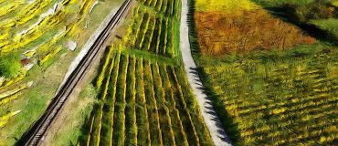 Agriculture numérique : la protection des données en question