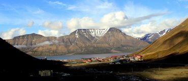 Les racines dans le permafrost augmentent les émissions de carbone