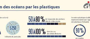 Infographie : pollution plastique des océans, un changement de paradigme s'impose