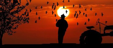 Le numérique s’installe dans les exploitations agricoles