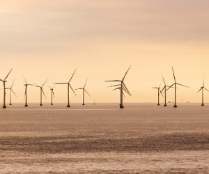 L’offshore éolien tient le cap malgré la crise