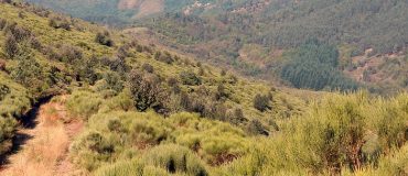 Le séisme du Teil : une rupture de surface qui interroge