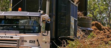 Un programme européen pour valoriser les résidus de l'arboriculture et de la viticulture