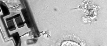 Des robots microscopiques contrôlés à l'aide de lasers