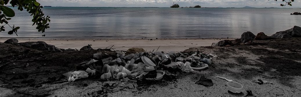 Une méthode de recyclage chimique du PET basée sur l’électro-organocatalyse