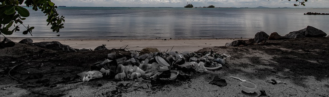 Une méthode de recyclage chimique du PET basée sur l’électro-organocatalyse