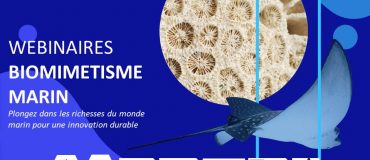 Le biomimétisme marin : où puiser l'inspiration ?