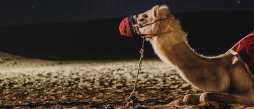 Le meilleur de la tech #1