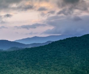 Hydrogène décarboné : où en est la France ?