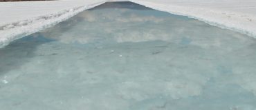 TOP 5 : les articles les plus lus en #novembre2020