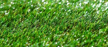 L’OPECST s’alarme des pollutions microplastiques et nanoplastiques