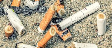 Birds for Change sensibilise au ramassage des déchets avec l'aide des corvidés