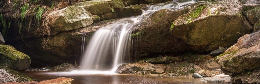 Pesticides : l’État a un an pour réparer un « préjudice écologique »