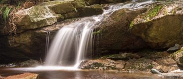 Pesticides : l’État a un an pour réparer un « préjudice écologique »