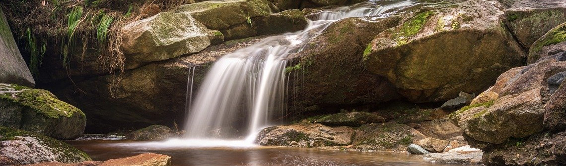 Pesticides : l’État a un an pour réparer un « préjudice écologique »