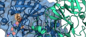 « Notre façon de prédire l’interaction et l’affinité est unique au monde »
