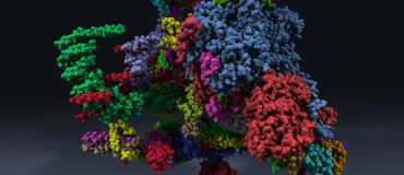 « Il faut dès aujourd’hui préparer la transition quantique »