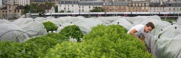 « Nous nous appuyons énormément sur l’expérience des agriculteurs » pour faire de l'agriculture urbaine