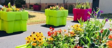 « Nos bacs autonomes permettent à l’utilisateur de s’affranchir des contraintes du jardinage »