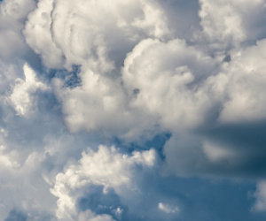 Projet de loi climat : le CESE craint des avancées « limitées »