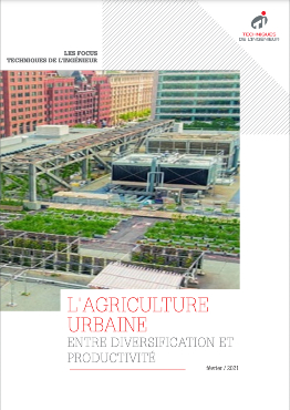 L'agriculture urbaine, entre diversification et productivité