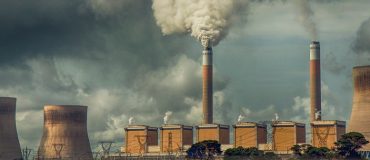 Dix ans après Fukushima : la radioécologie, qu'est-ce que c'est et comment a-t-elle servi ?