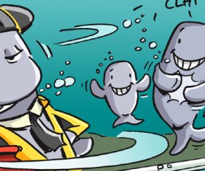 En image : Les cachalots ont appris à éviter les harpons au 19e siècle