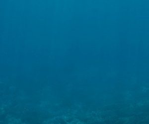 Fiabiliser une norme internationale pour déterminer l'acidité des océans
