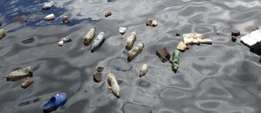 La présence d'enzymes capables de dégrader les plastiques serait plus forte dans les zones polluées