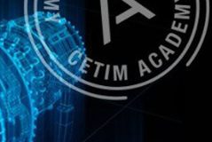 Analyse des concentrations de contraintes dans un modèle éléments finis