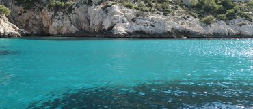 Le label bas-carbone pour préserver les herbiers marins des Calanques