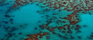 Swings : l’expédition de l’Ifremer qui revient de l’océan Austral