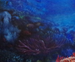 La sauvegarde des coraux passera par des engagements forts