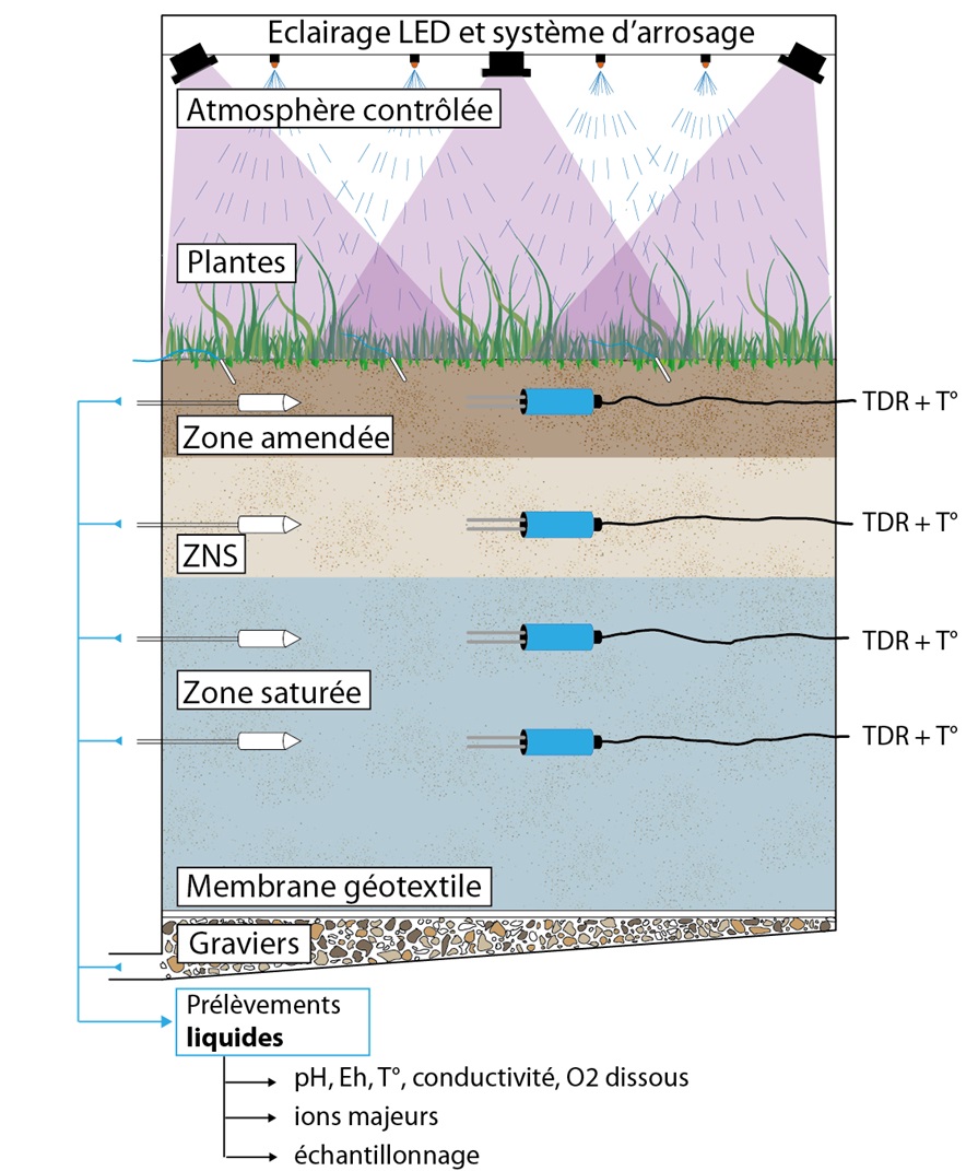 Une Nouvelle Methode Pour Evaluer L Efficacite De La Phytostabilisation Techniques De L Ingenieur
