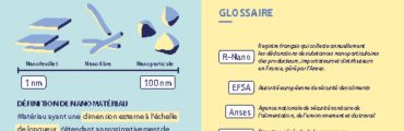 Infographie : Nanomatériaux dans les aliments - Comment contrôler leur innocuité et protéger le consommateur ?