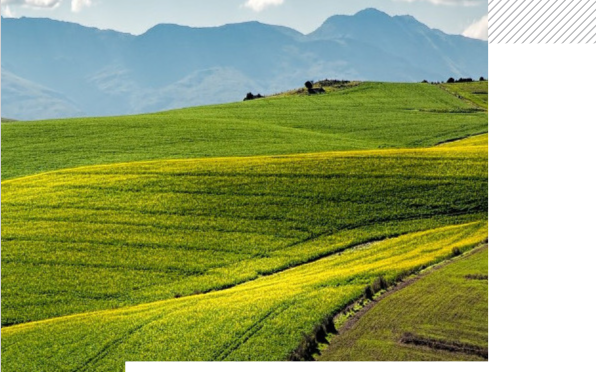 Les technologies spatiales au service de l'agriculture