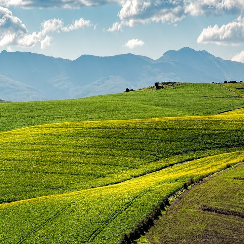 Les technologies spatiales au service de l'agriculture