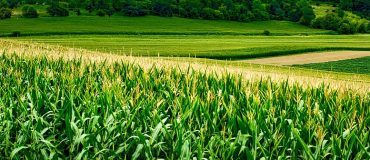 Des satellites pour remplacer les contrôles physiques à la ferme