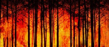 Un rapport du Sénat recommande d'agir pour éviter l'embrasement des feux de forêt