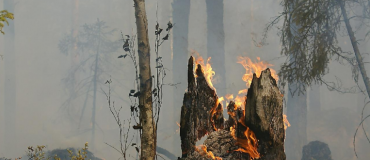 Incendies de forêt : des capteurs sans fil pour sonner l’alarme au plus vite