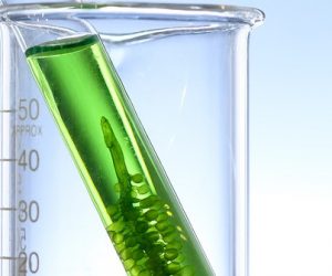 Étudier l'impact de l'ajout de biocarburants dans les carburants conventionnels
