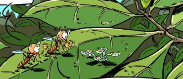 En image : la plus petite machine volante prête pour le service !