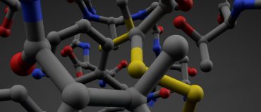 S’inspirer de la dégradation des protéines pour repenser le recyclage des polymères